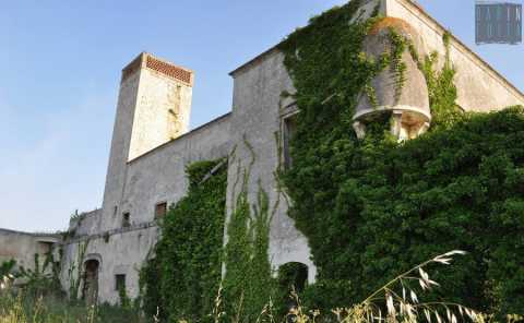 Alla scoperta di Lucignano, il sito medievale che si trova all'interno di una fabbrica